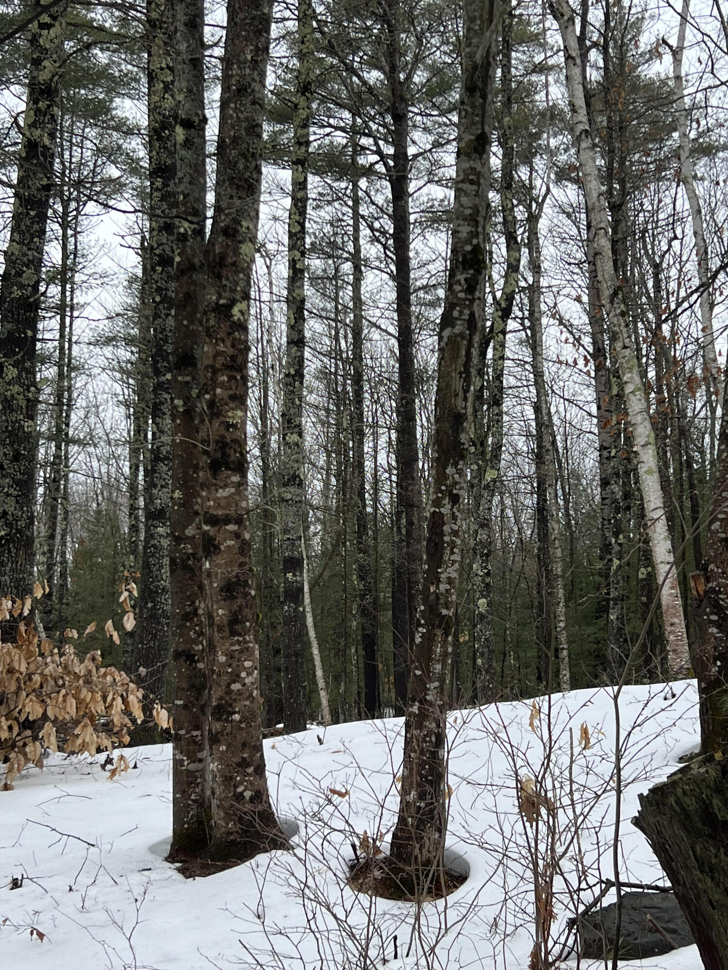 Lot 464 Middle Road Waterboro, ME