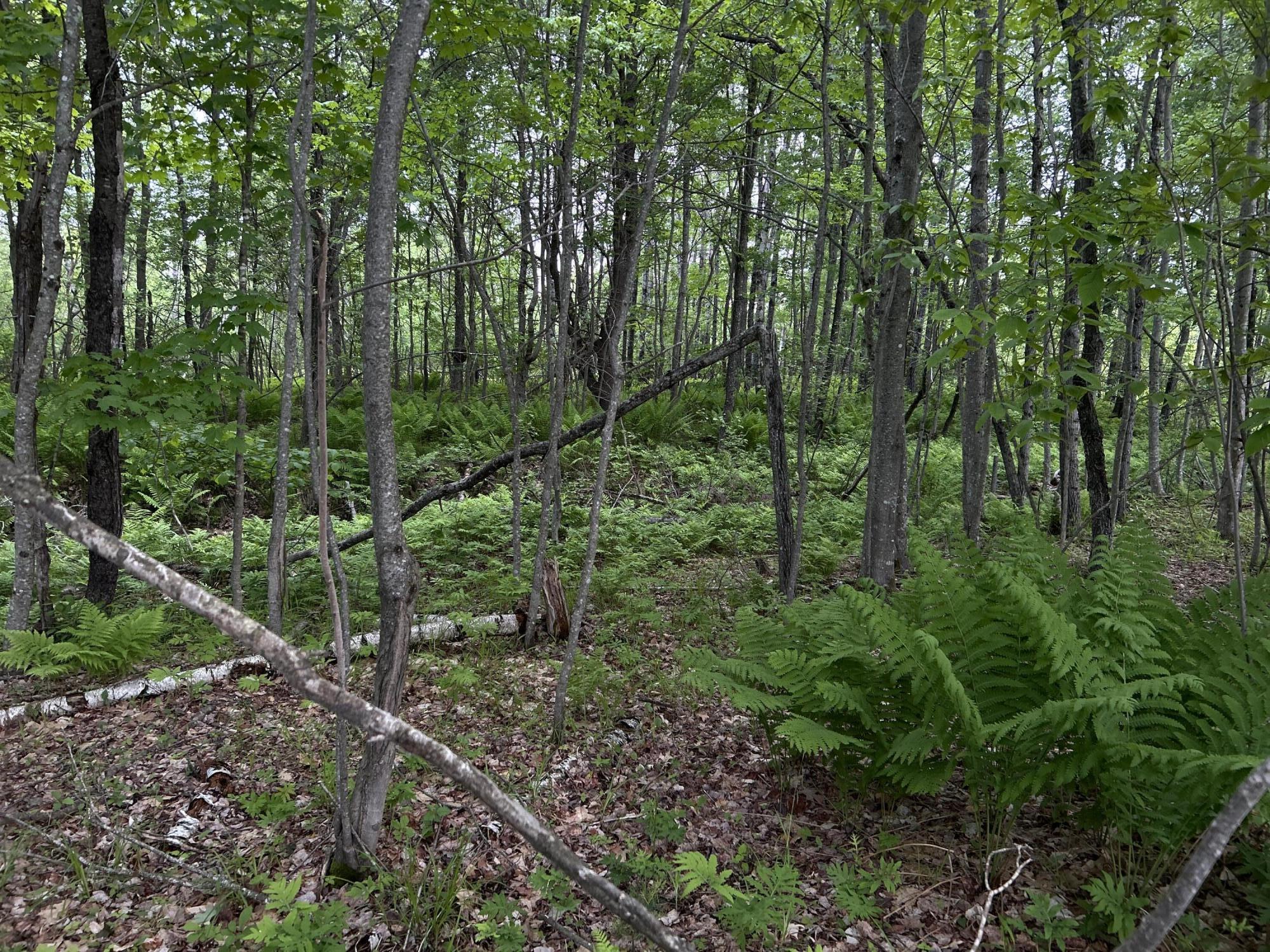 M18L13 Mercer Road Norridgewock ME 04957