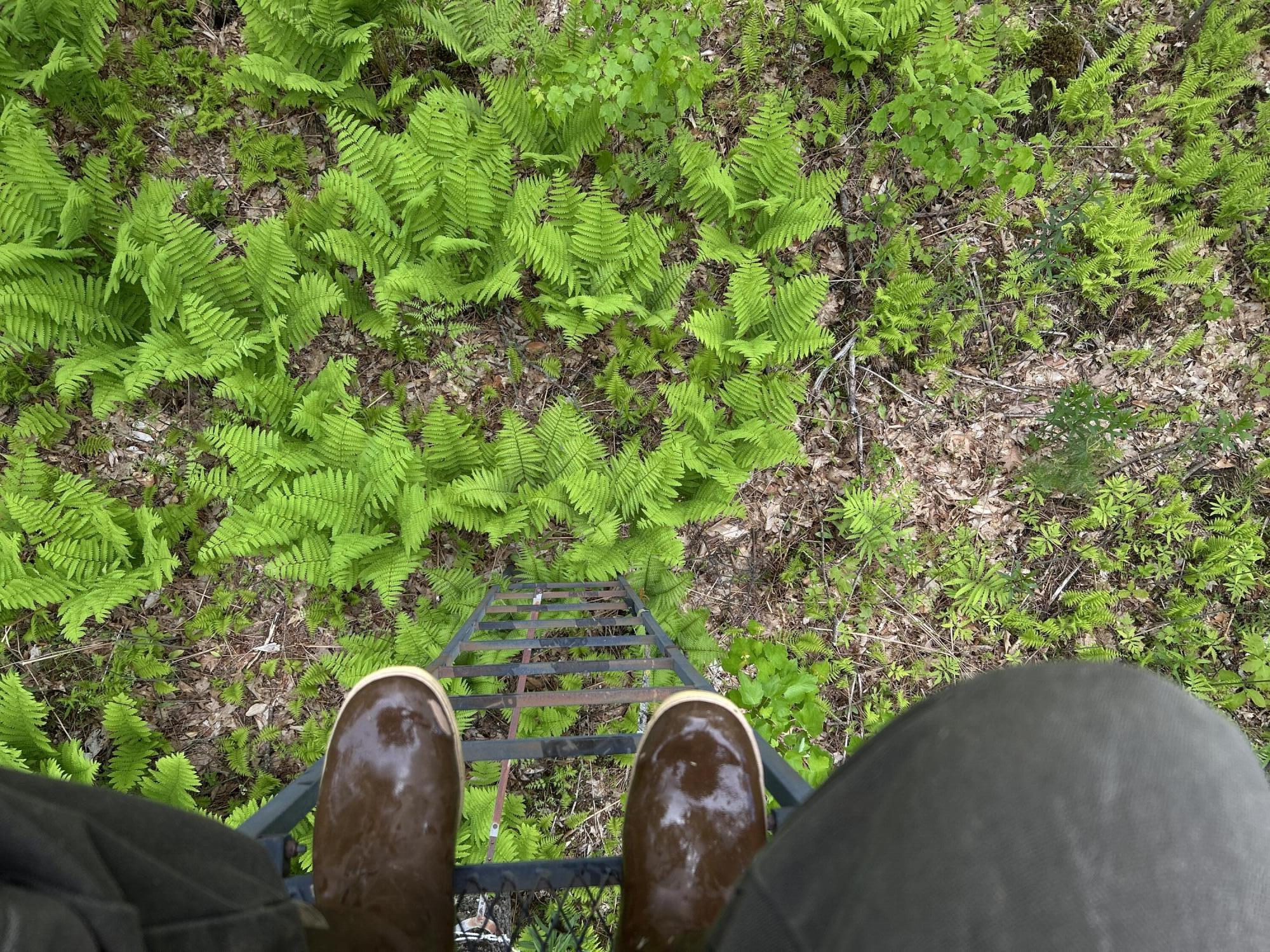 M18L13 Mercer Road Norridgewock ME 04957