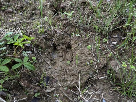 M18L13 Mercer Road Norridgewock ME 04957