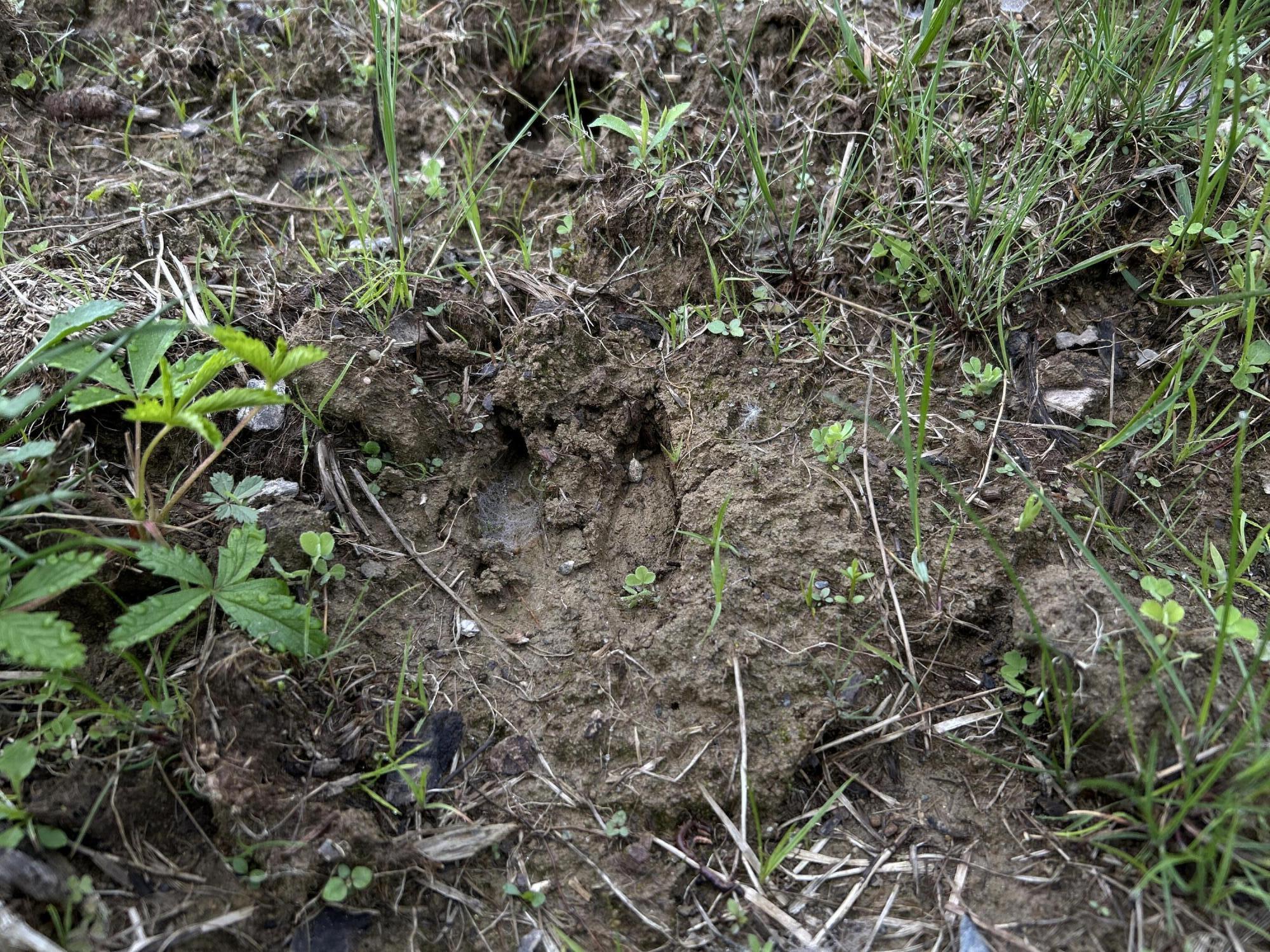 M18L13 Mercer Road Norridgewock ME 04957