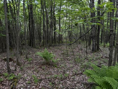 M18L13 Mercer Road Norridgewock ME 04957