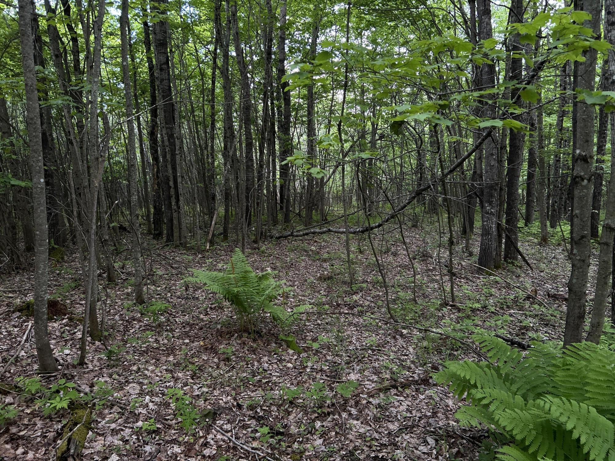 M18L13 Mercer Road Norridgewock ME 04957