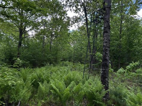 M18L13 Mercer Road Norridgewock ME 04957