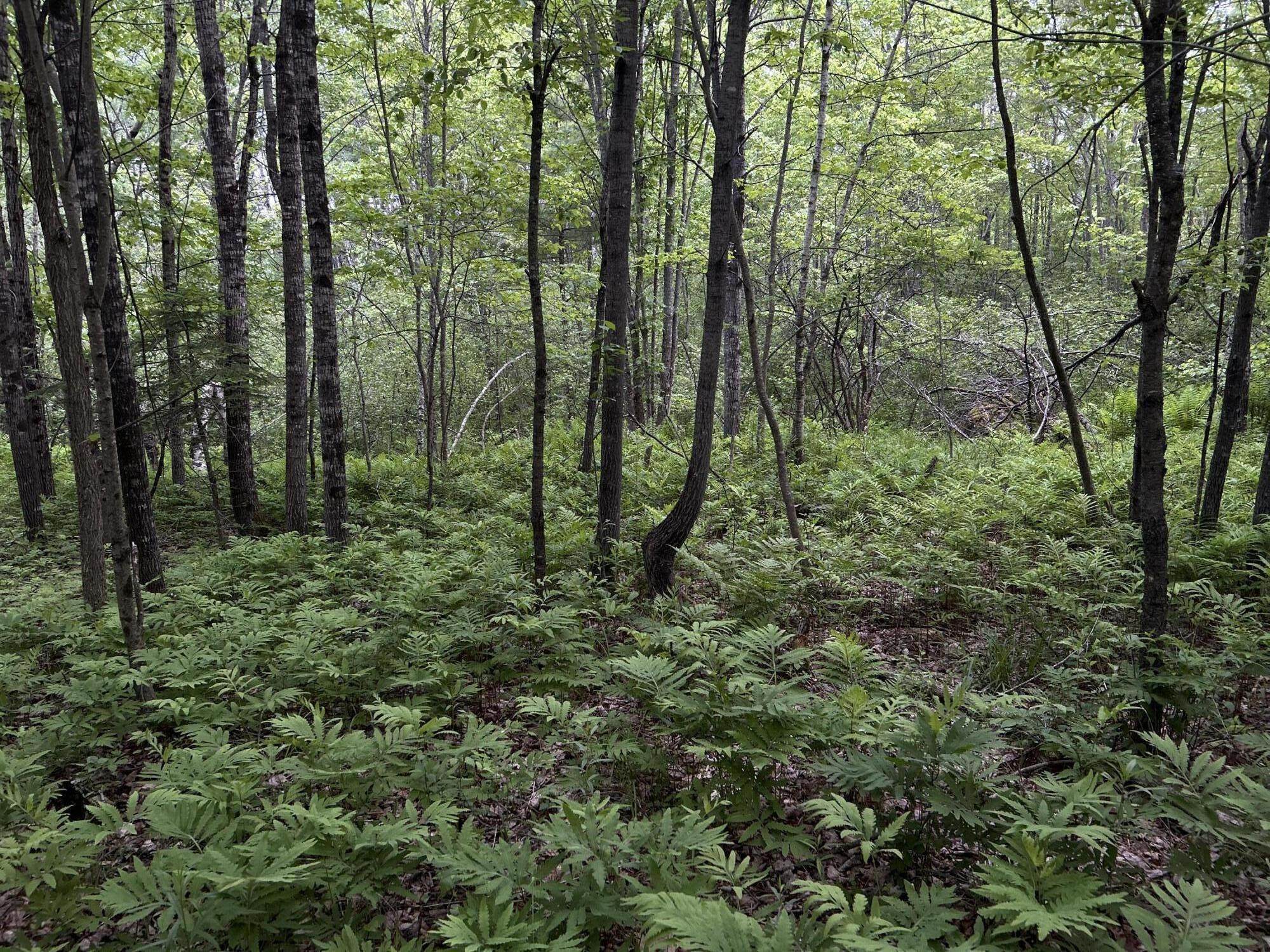 M18L13 Mercer Road Norridgewock ME 04957