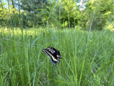 M18L13 Mercer Road Norridgewock ME 04957