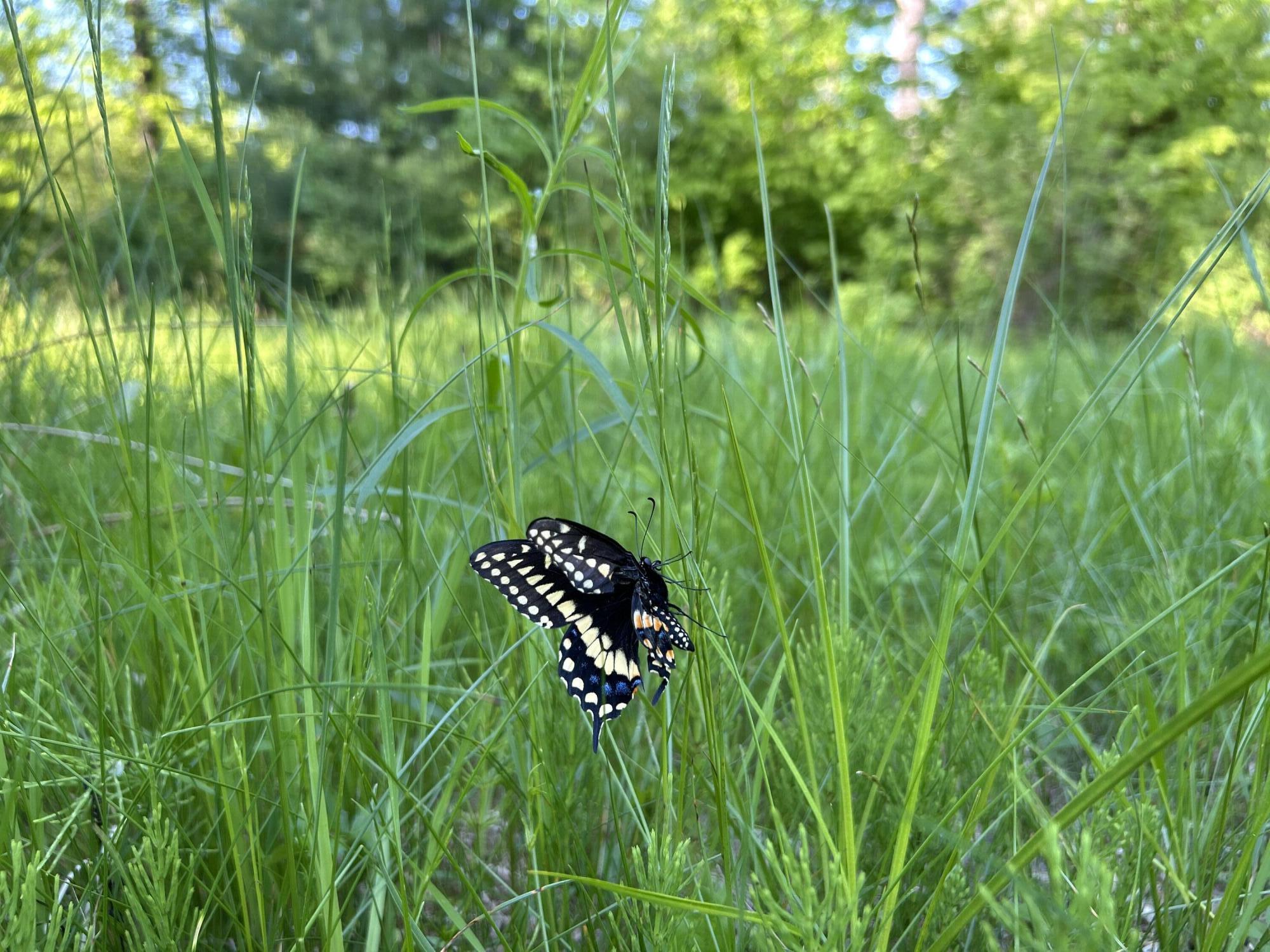 M18L13 Mercer Road Norridgewock ME 04957