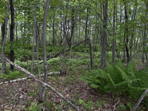 M18L13 Mercer Road Norridgewock ME 04957