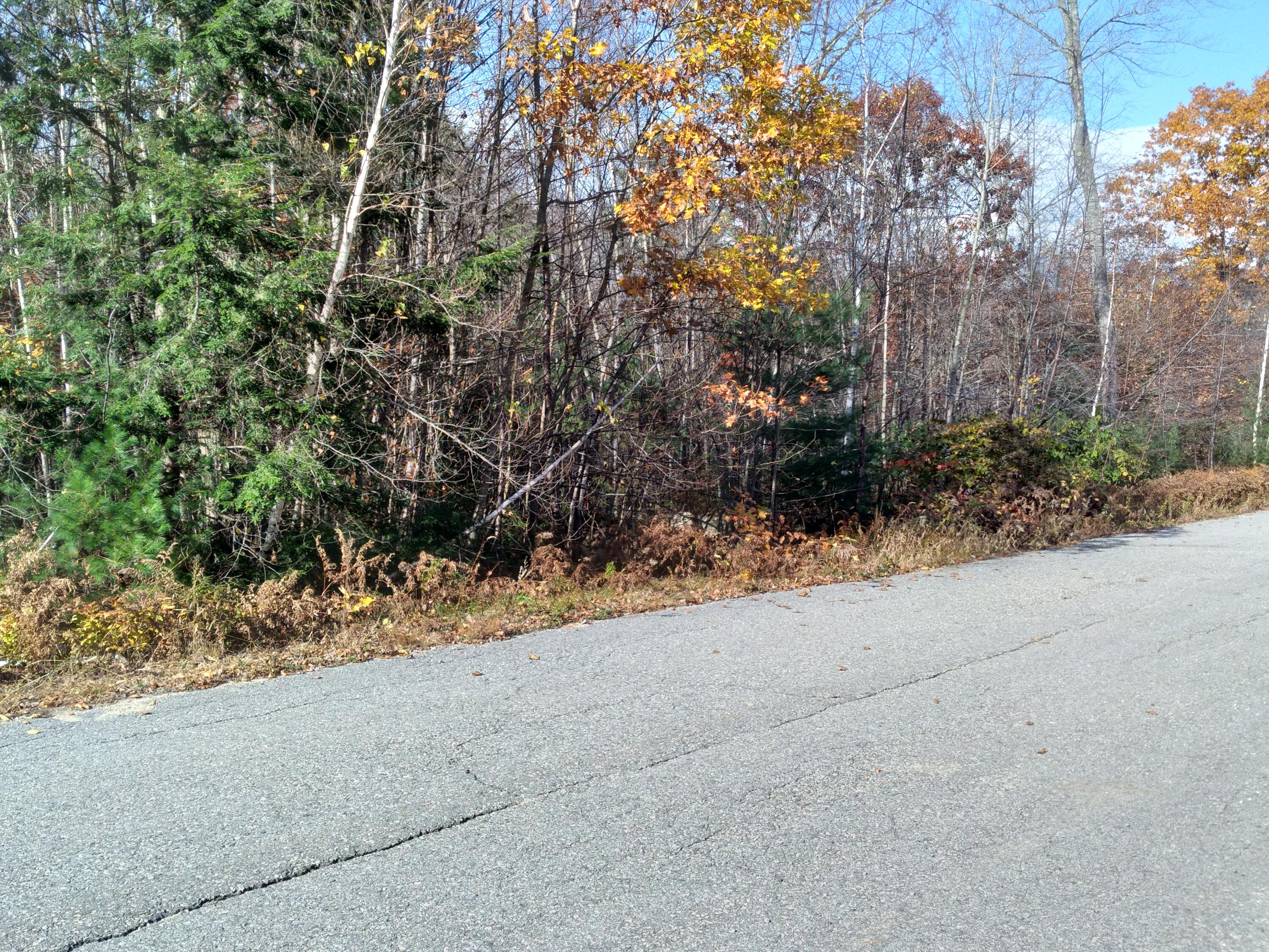 21-8 Raven Lane Fryeburg ME 04037