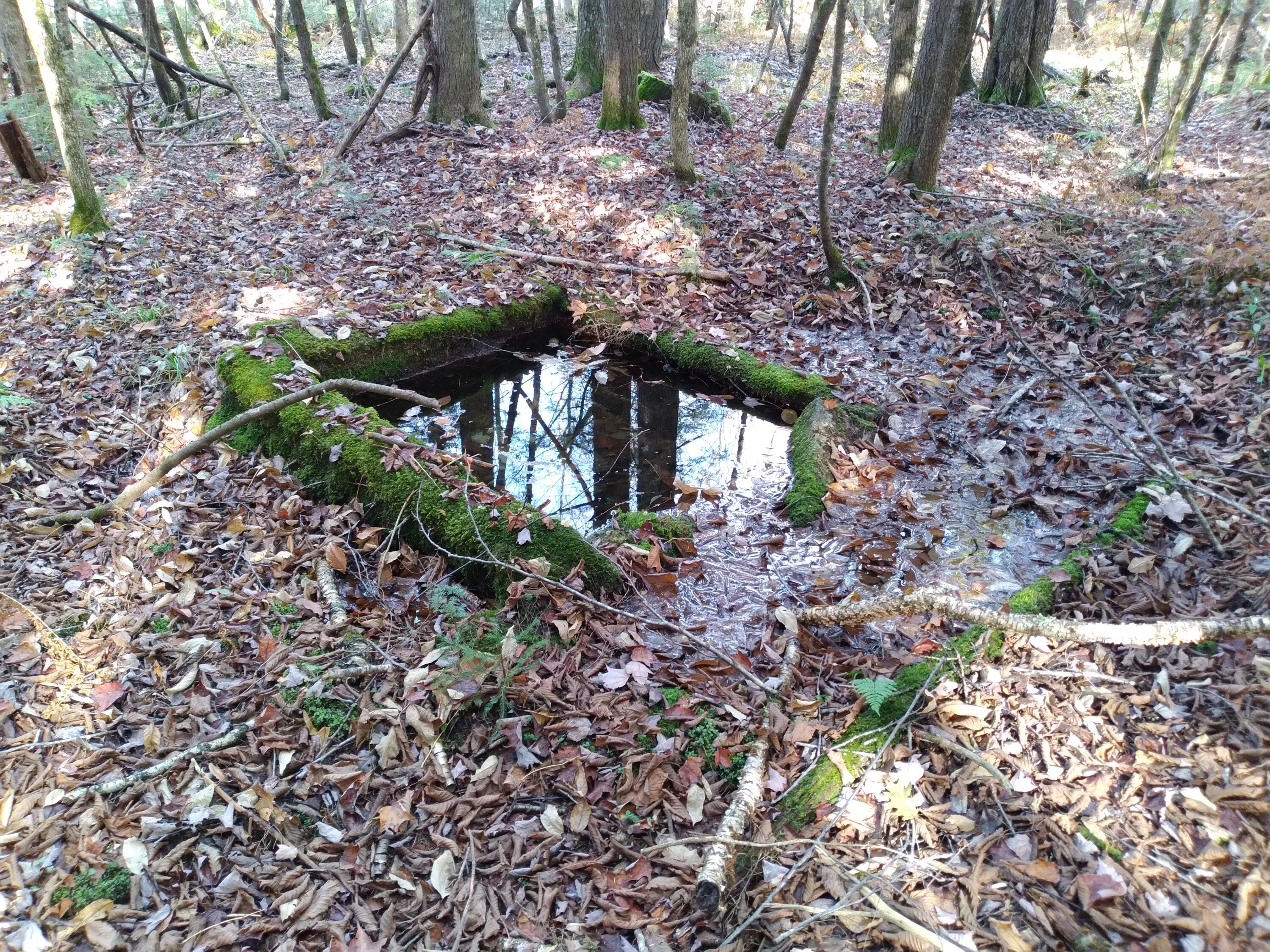 21-8 Raven Lane Fryeburg ME 04037