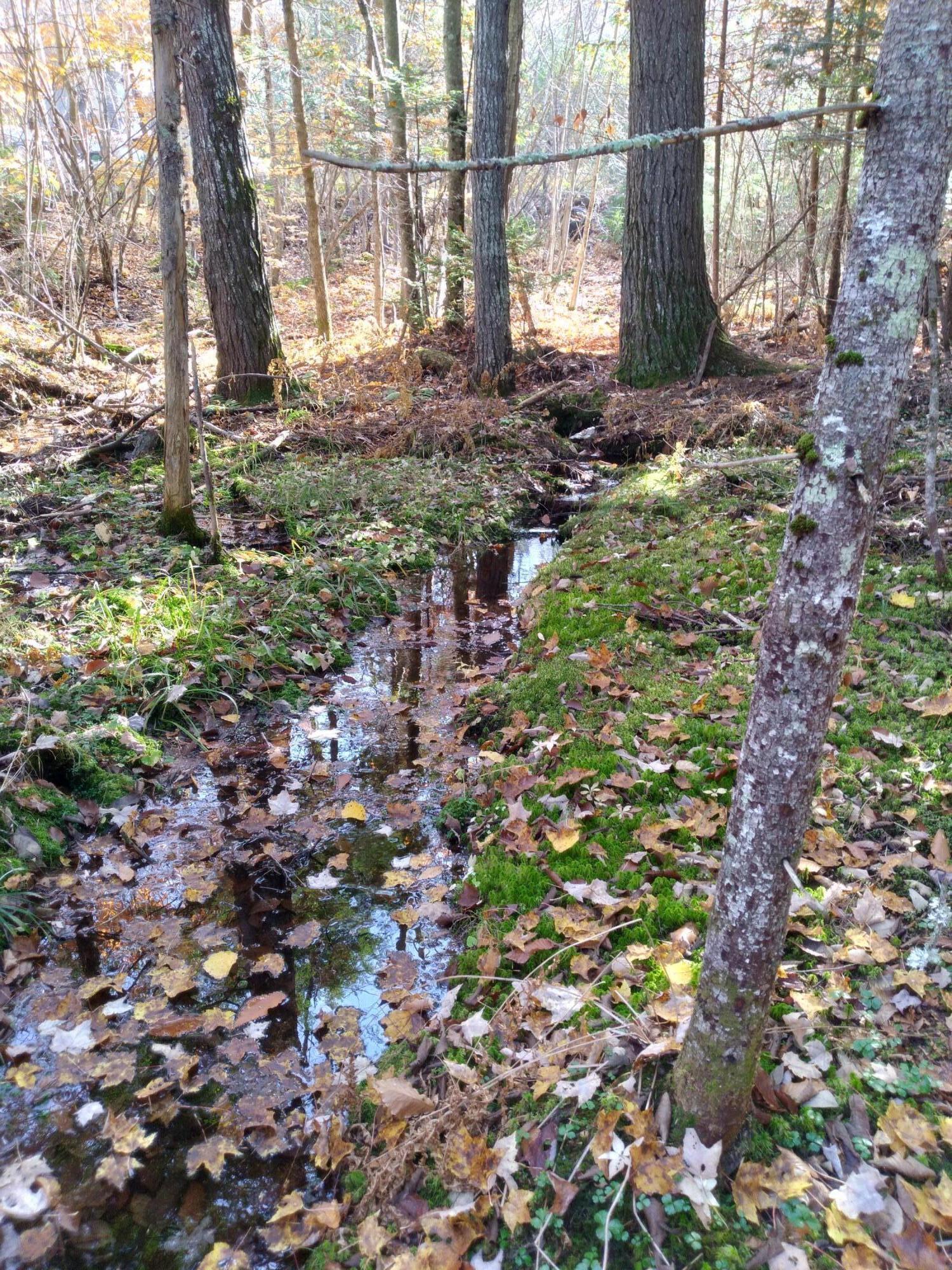 21-8 Raven Lane Fryeburg ME 04037