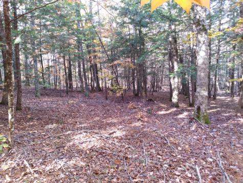 21-8 Raven Lane Fryeburg ME 04037