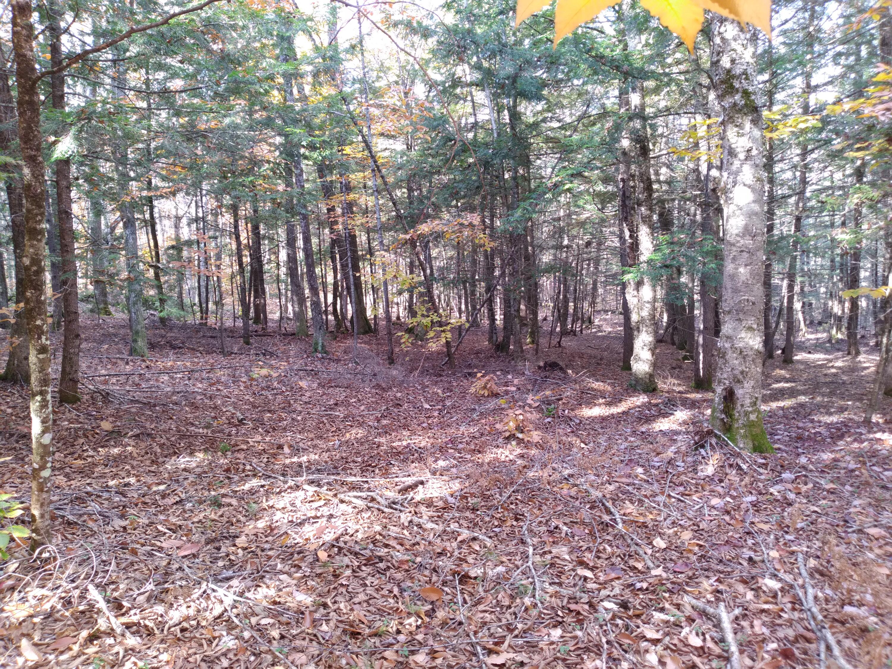 21-8 Raven Lane Fryeburg ME 04037