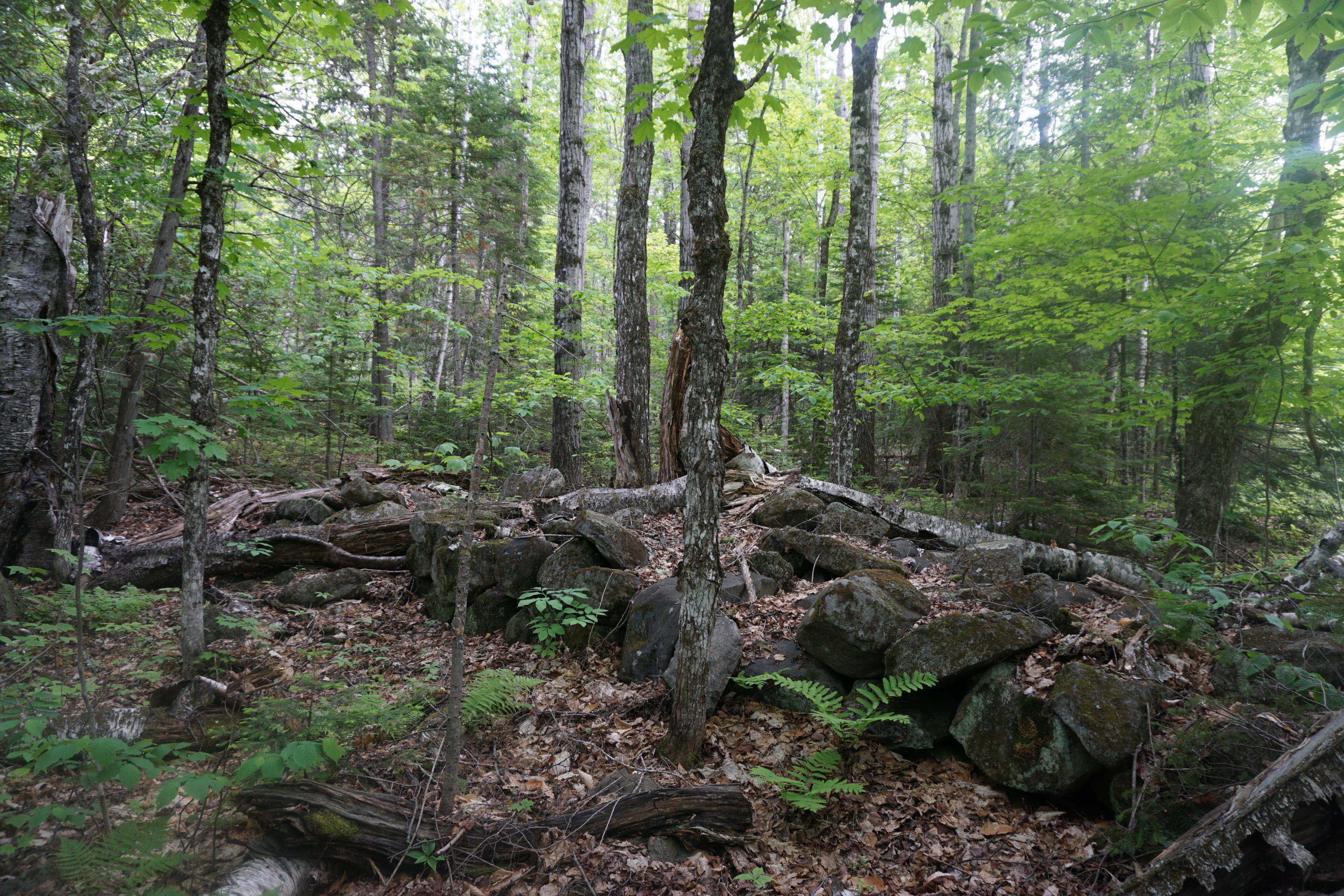 20-5 Shoals Road Greenville ME 04441