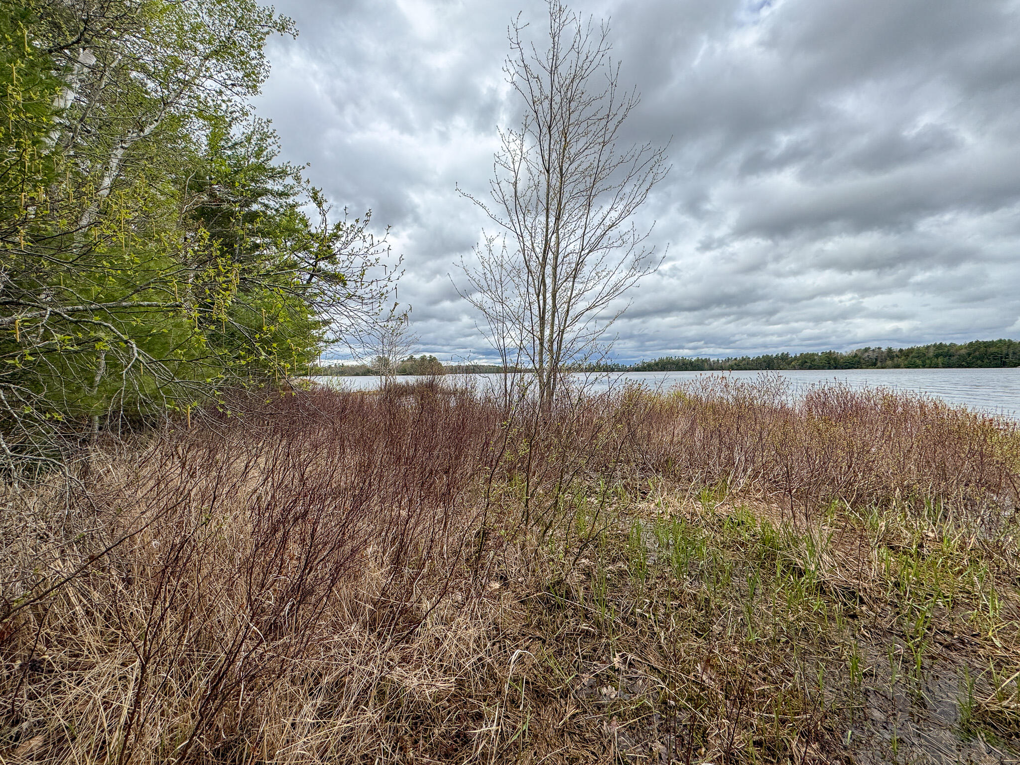 HA4PL3L17 Off Lily Way Fletchers Landing Twp ME 01072