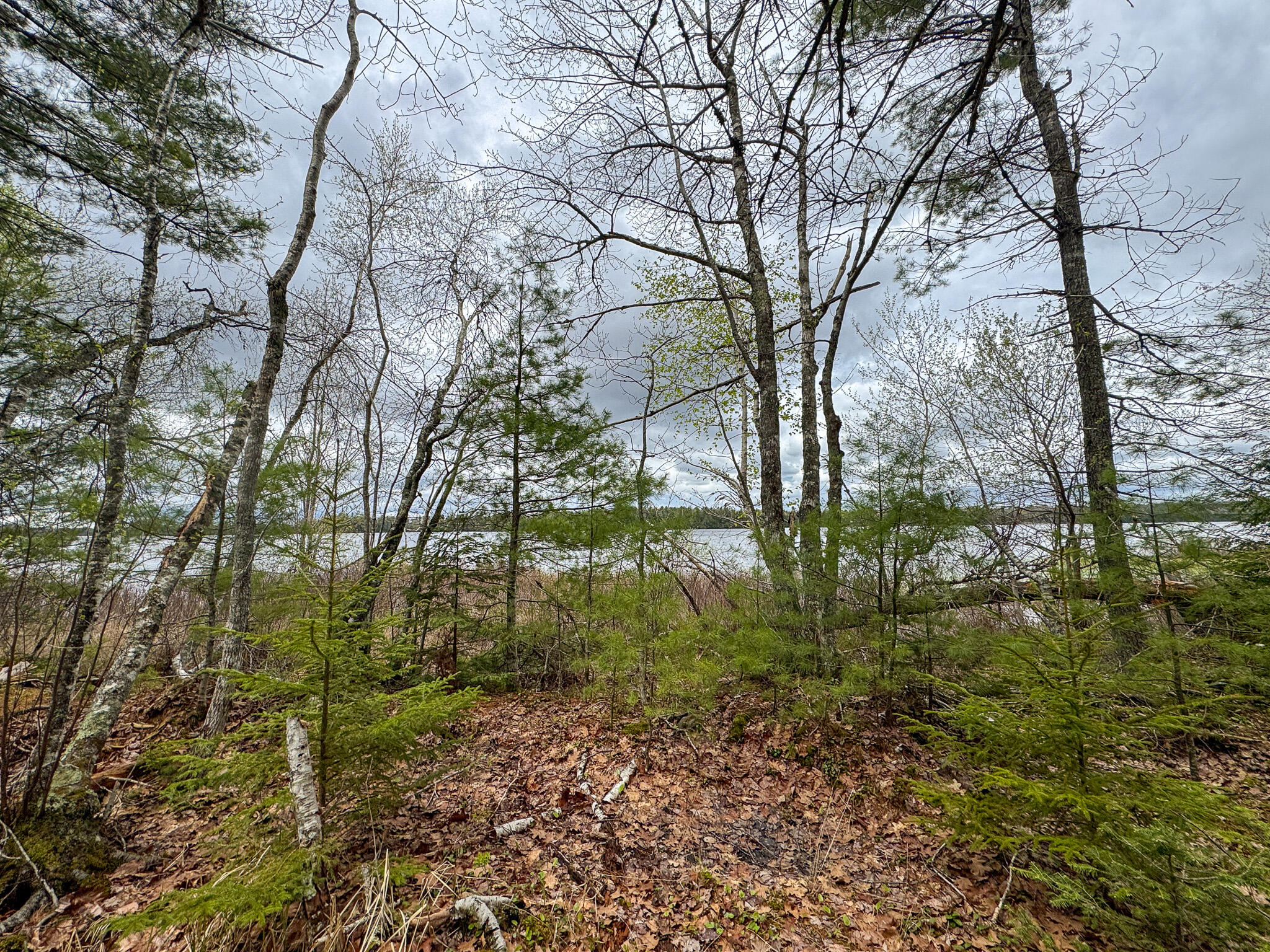 HA4PL3L17 Off Lily Way Fletchers Landing Twp ME 01072
