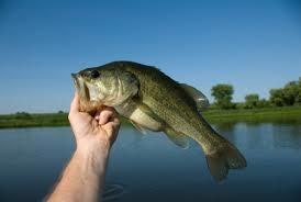 2-16 Packard Road Plymouth ME 04969