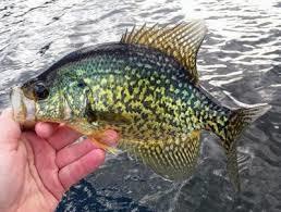 2-16 Packard Road Plymouth ME 04969