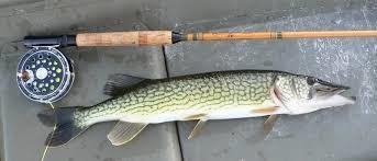 2-16 Packard Road Plymouth ME 04969