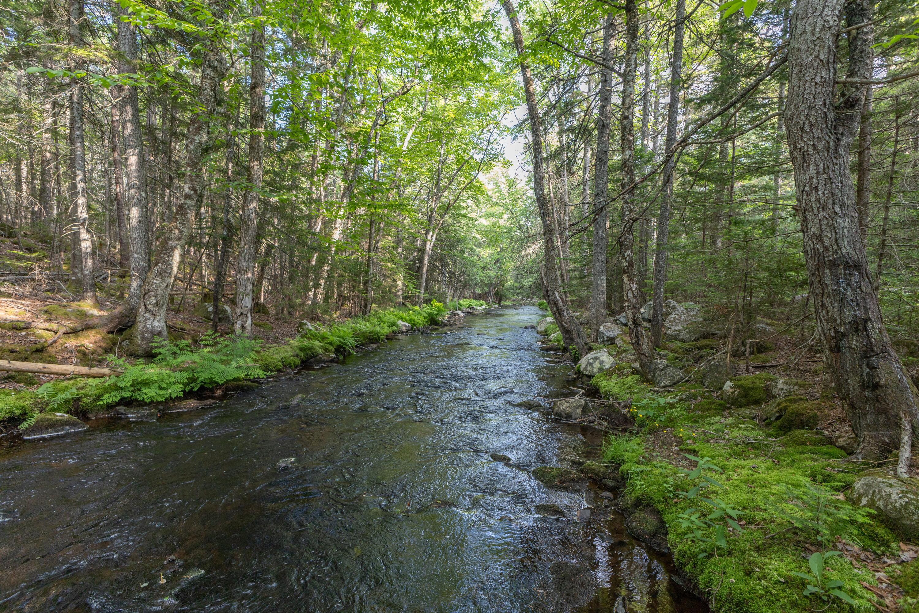 25 Farm Edge Road Sullivan ME 04664