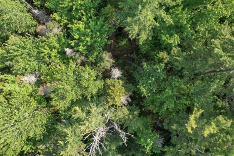 25 Farm Edge Road Sullivan ME 04664