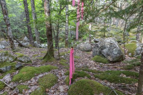 25 Farm Edge Road Sullivan ME 04664