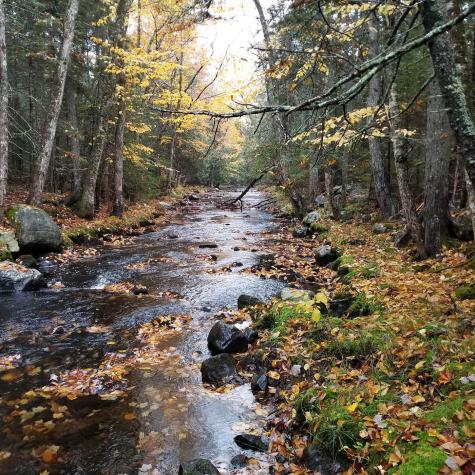 25 Farm Edge Road Sullivan ME 04664