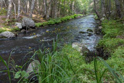 25 Farm Edge Road Sullivan ME 04664