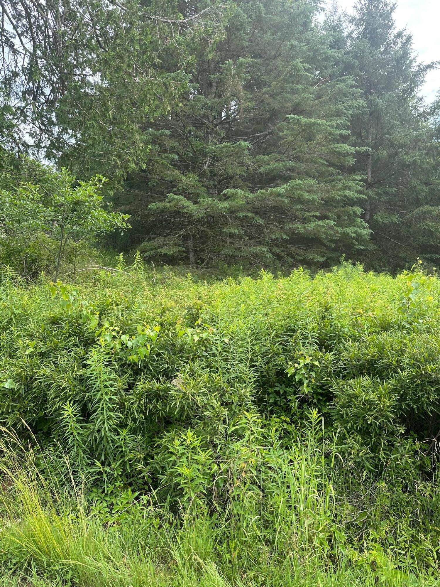 Lot 5 Soper Road Orland ME 04413
