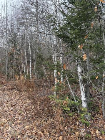 M5/L27 Pond Road Abbot ME 04406