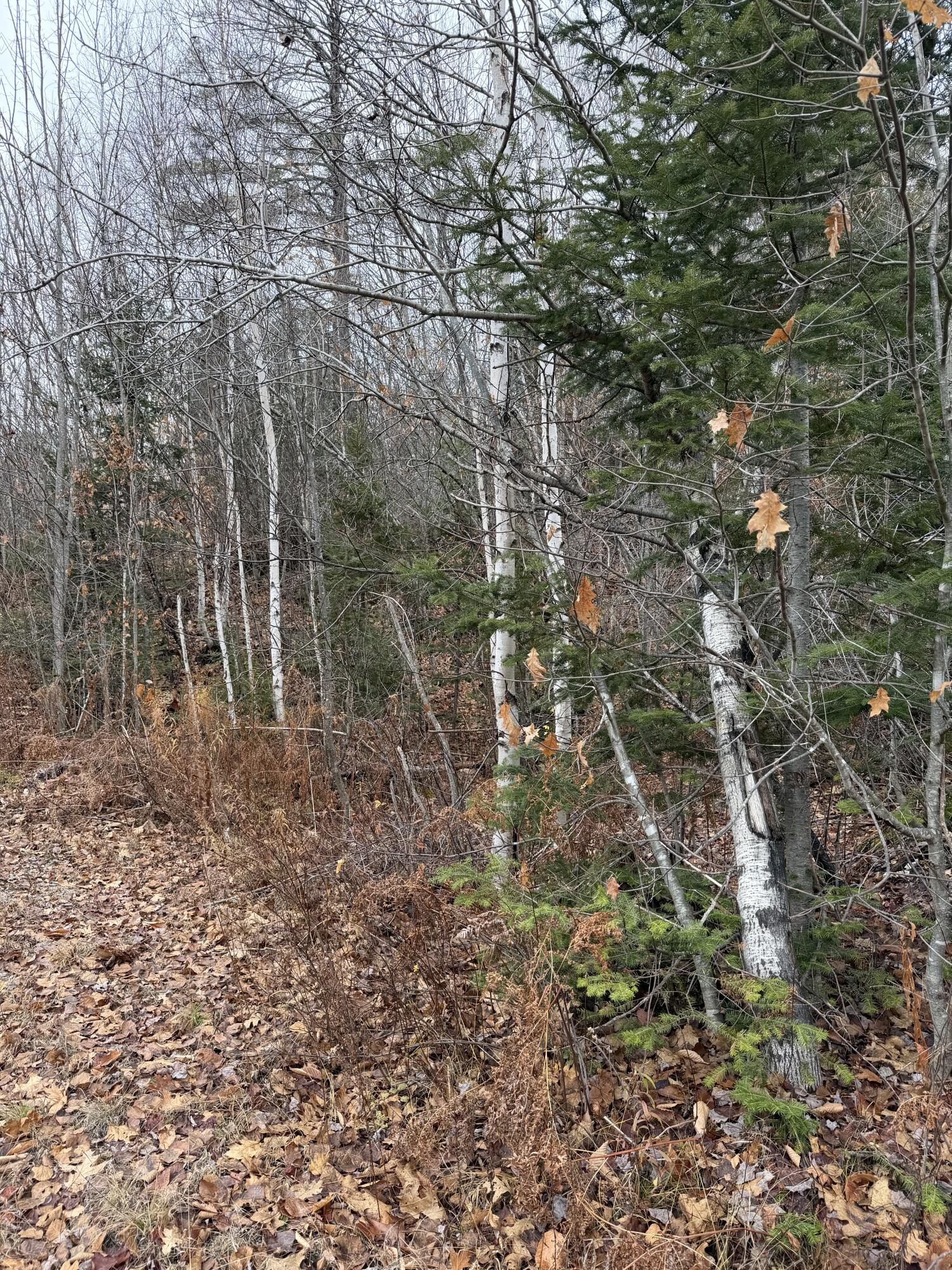 M5/L27 Pond Road Abbot ME 04406