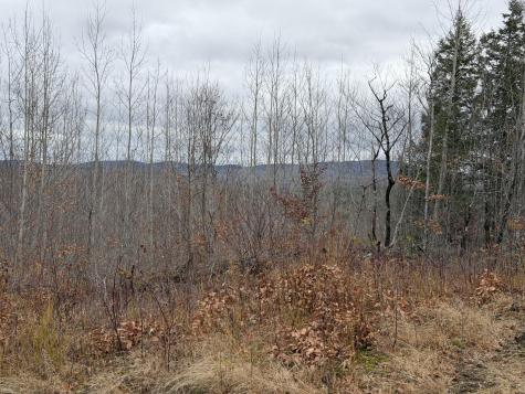 M5/L27 Pond Road Abbot ME 04406