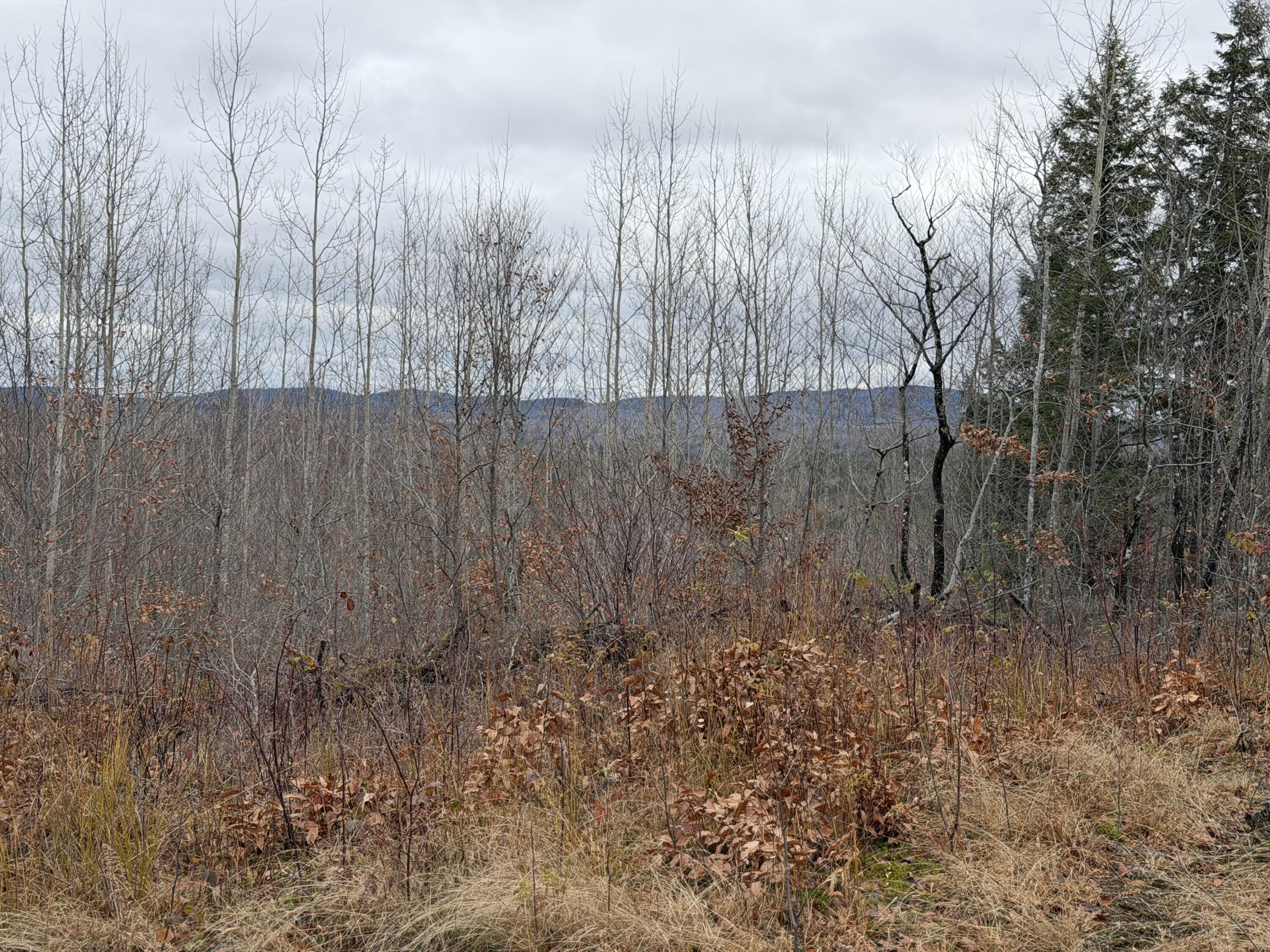 M5/L27 Pond Road Abbot ME 04406