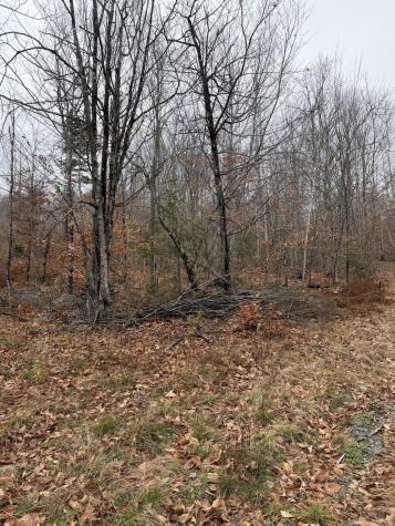 M5/L27 Pond Road Abbot ME 04406