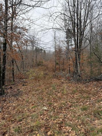 M5/L27 Pond Road Abbot ME 04406