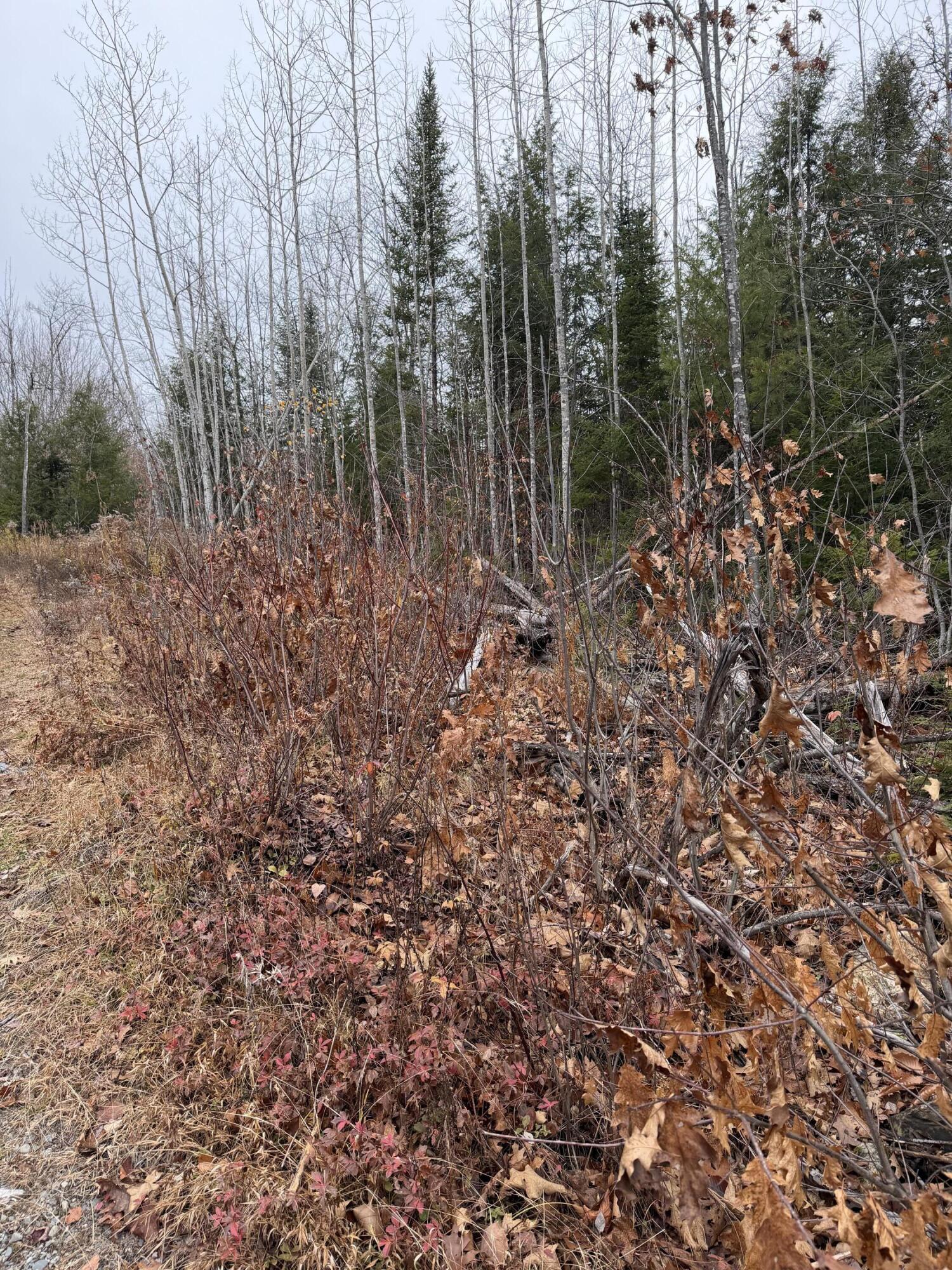 M5/L27 Pond Road Abbot ME 04406