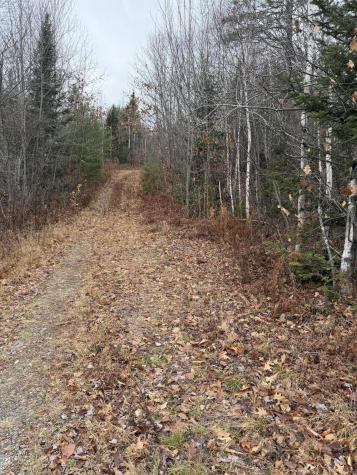 M5/L27 Pond Road Abbot ME 04406