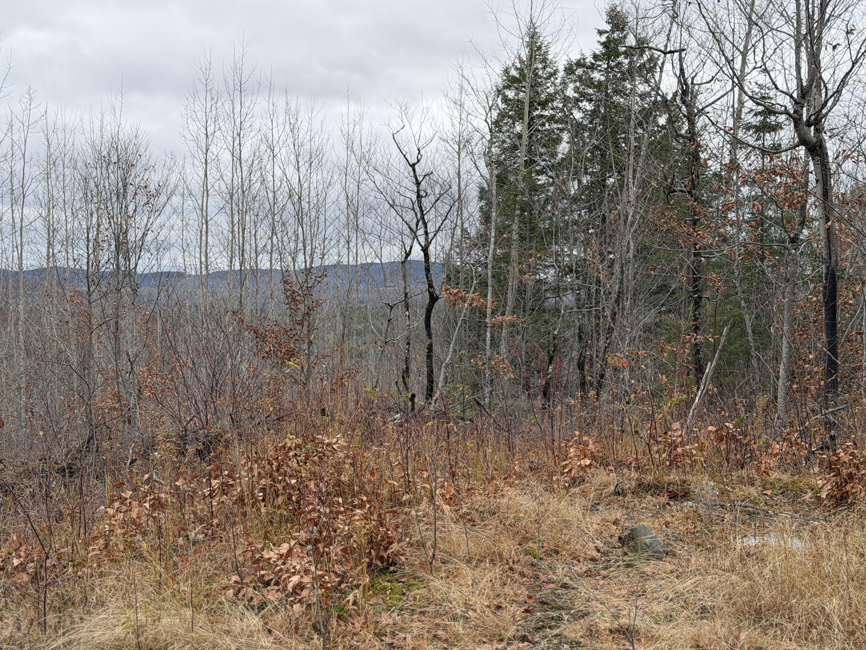 M5/L27 Pond Road Abbot ME 04406