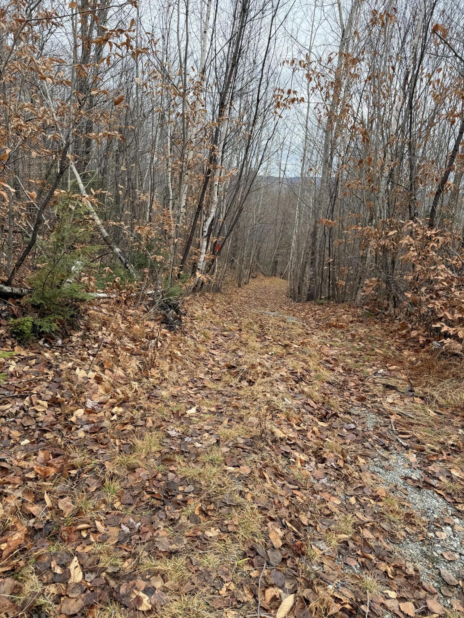 M5/L27 Pond Road Abbot ME 04406