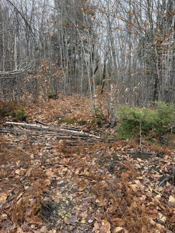 M5/L27 Pond Road Abbot ME 04406