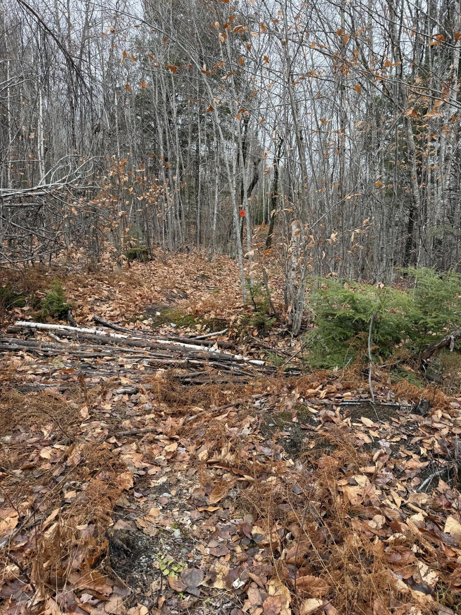 M5/L27 Pond Road Abbot ME 04406