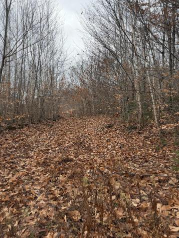 M5/L27 Pond Road Abbot ME 04406