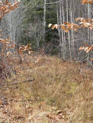 M5/L27 Pond Road Abbot ME 04406