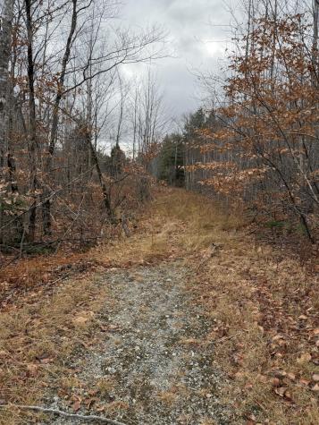 M5/L27 Pond Road Abbot ME 04406