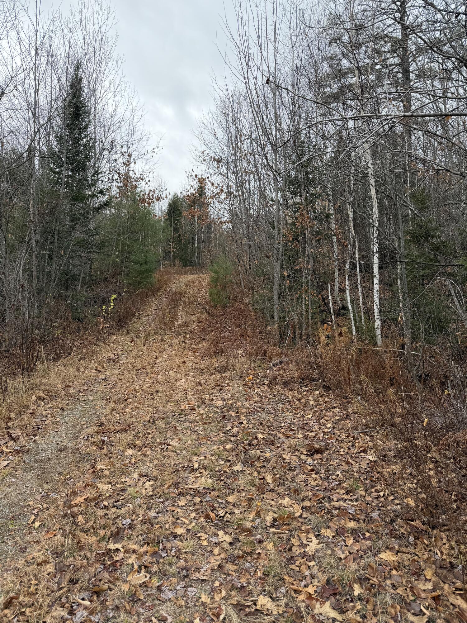 M5/L27 Pond Road Abbot ME 04406