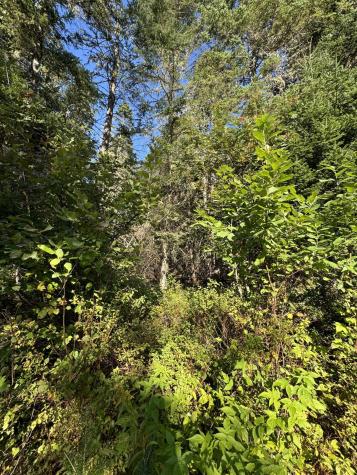 Map 2 Lot 10 Nichols Road Dallas Plt ME 04970