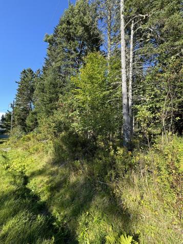 Map 2 Lot 10 Nichols Road Dallas Plt ME 04970