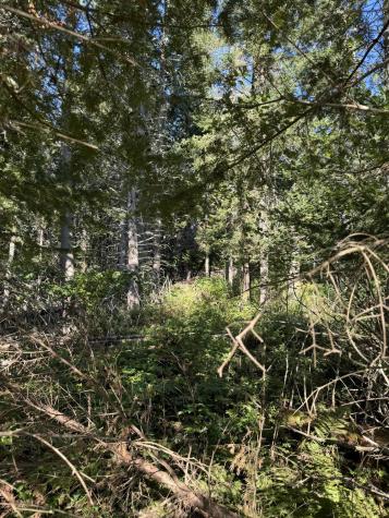 Map 2 Lot 10 Nichols Road Dallas Plt ME 04970