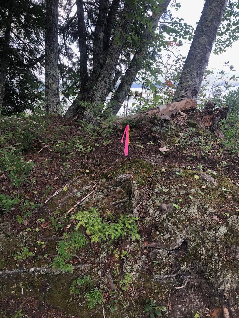 06 Swett Brook Lane Weld ME 04285