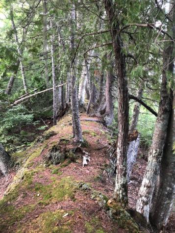 06 Swett Brook Lane Weld ME 04285